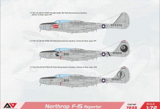Макети  Northrop F-15A "Reporter" recon.aircraft